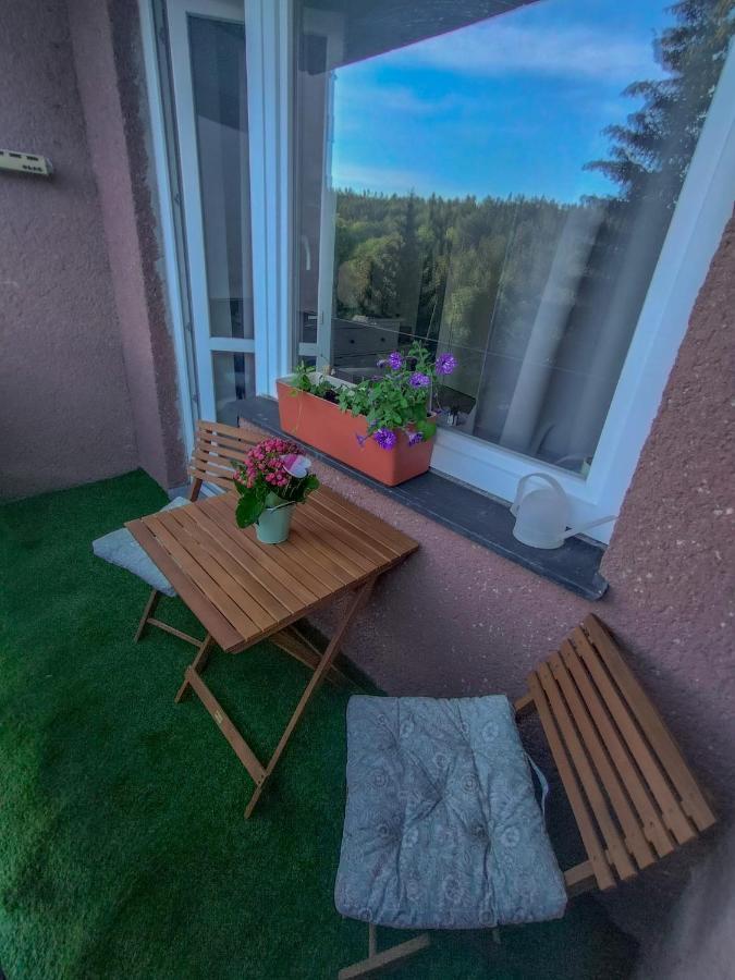 Apartmanek Protez Janske Lazne Dış mekan fotoğraf